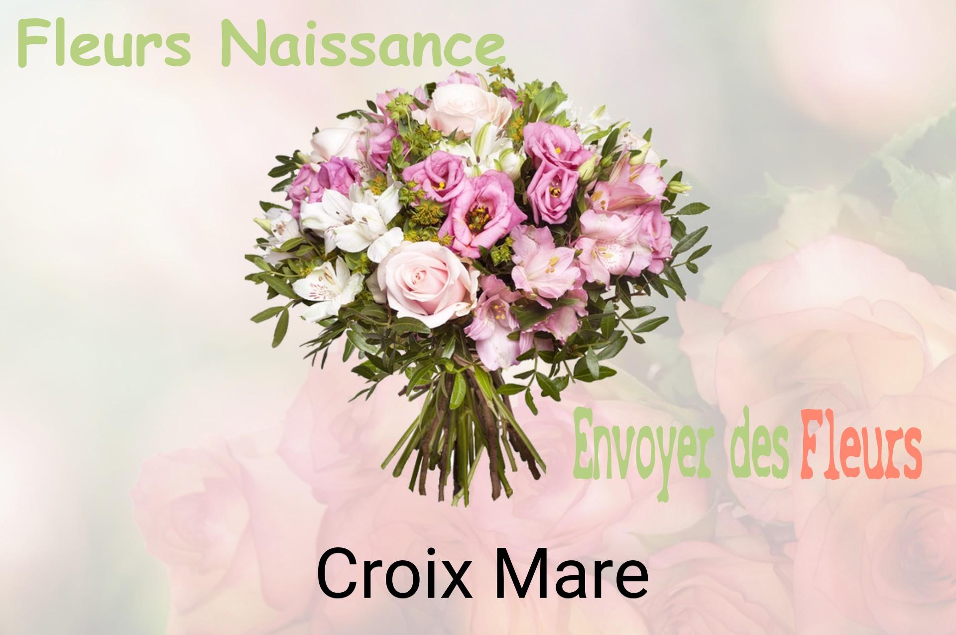 Bouquet de fleurs de naissance livré à Croix-Mare